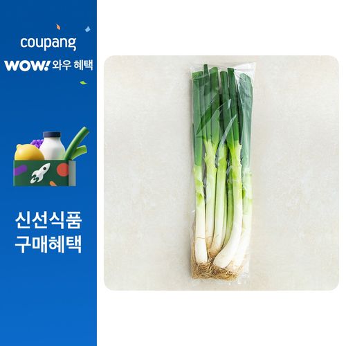 흙대파