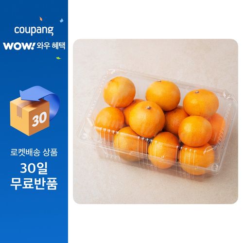 곰곰 당도선별 제주감귤