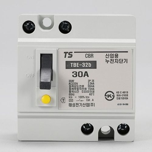 분전함 태성 산업용 TBE 누전차단기 2P 30A 32b