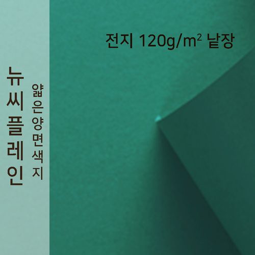 뉴씨플레인 종이문화 얇은 양면색지 120g 전지 낱장 1매 No.40 초록색