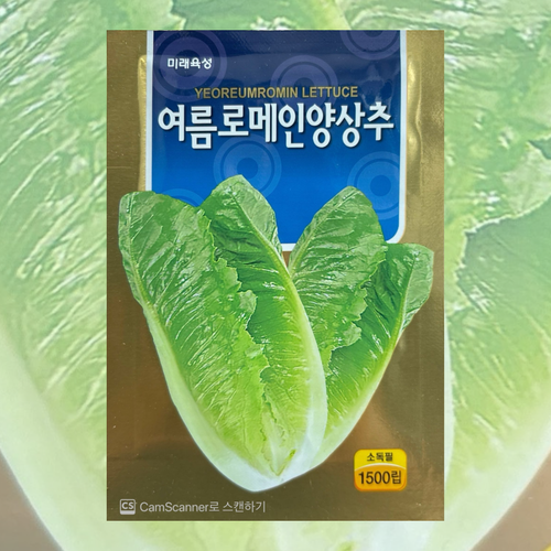 여름로메인양상추 씨앗 1500립 26년포장 여름 전용 고온기재배 가능한 로메인상추종자
