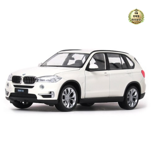 웰리 다이캐스트 1/24 BMW X5
