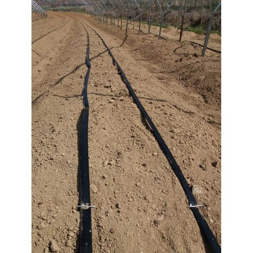 점적아리수 테이프 0.2T x 10cm x 1000M, 1개