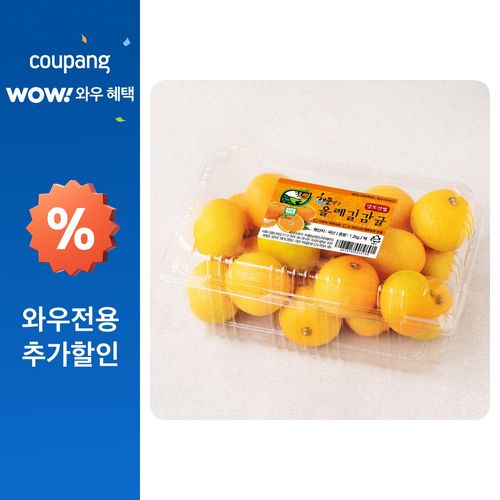 올레길 AI 당도선별 11brix 감귤, 1.2kg(대과), 1개
