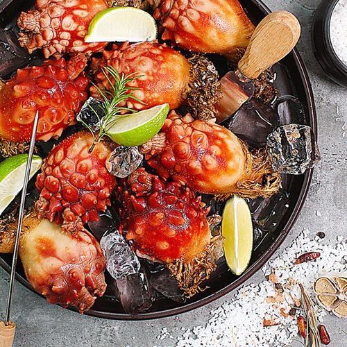 종가수산 통영 제철 선별 활멍게 (특상품), 1개, 5kg