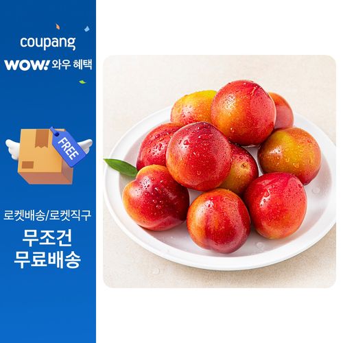 이로운군위 고당도 13Brix 자두, 1팩, 800g(대과)