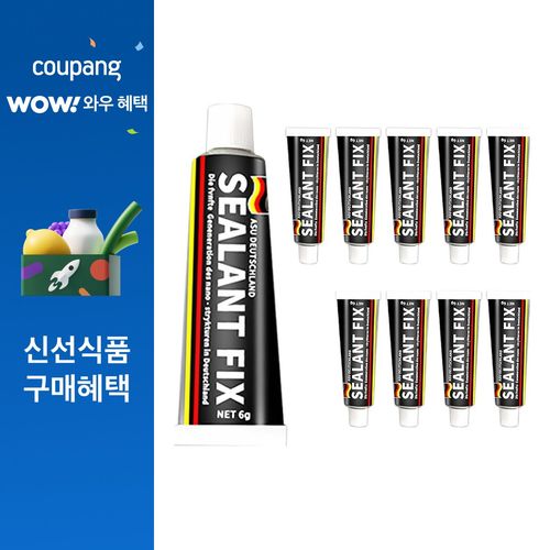 월드크린 실란트 픽스 6g, 10개