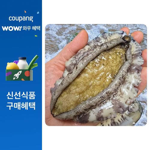 친절한이서방 왕특대 완도 활 전복 직거래, 1박스, (왕특대) 5-6미 1kg