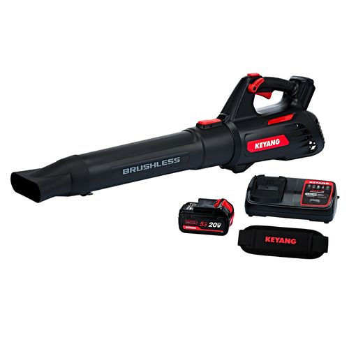 계양 BLDC 무선 송풍기 BR20BLBC 무선 대포 낙엽 송풍기 20V MAX 제설 세차, 1세트