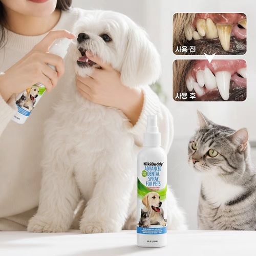 GBED 미국기술 강아지 고양이 뿌리는 치약 구강청결제 구취 치석제거 잇몸케어
