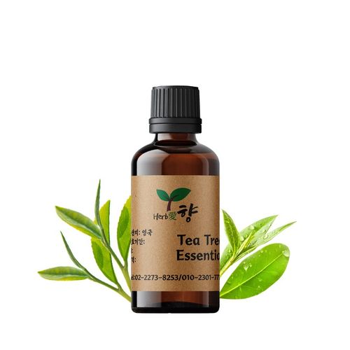 티트리 에센셜오일 100ml 오일