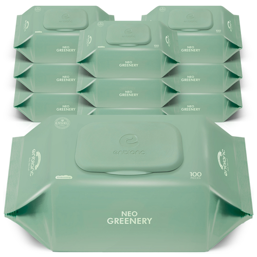 앙블랑 네오 그리너리 유아용 물티슈 캡형, 50g, 100매, 10개