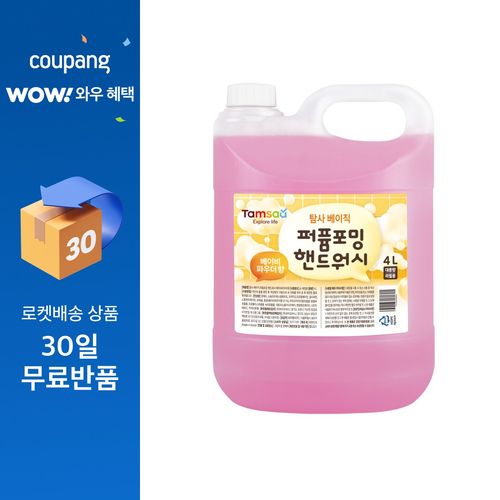탐사베이직 퍼퓸포밍 핸드워시, 4L, 1개