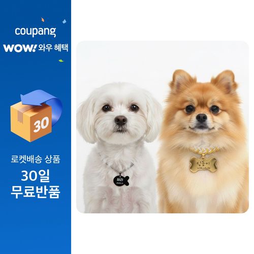 딩동펫 반려동물 써지컬 인식표 + 패브릭 목걸이 세트, 패브릭 슬림 꼬임, 1개, 레드, free