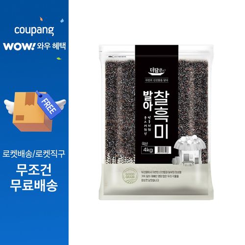 더담은 발아찰흑미, 4kg, 1개