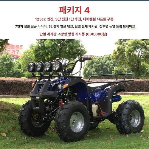 4륜 산악 오토바이 가솔린 화성 농사용 레저용 사륜
