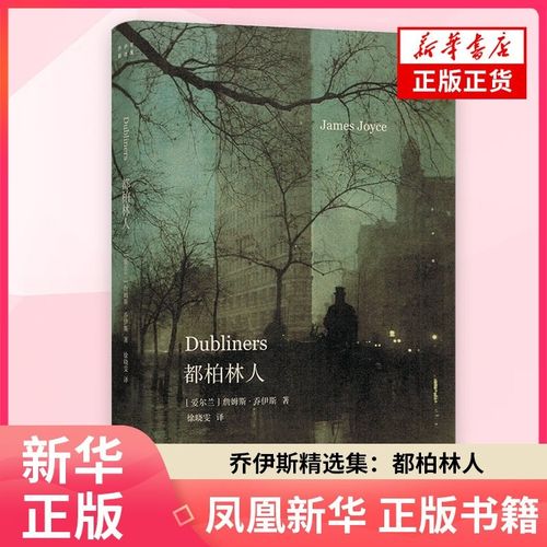 중국어원서 더블린 사람들 제임스 조이스 都柏林人 James Joyce Dubliners 양장본