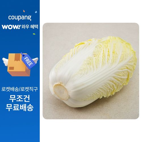 국내산 알배기