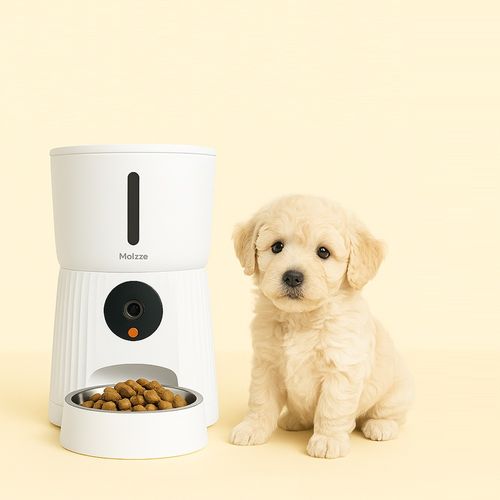 모이쯔 강아지 고양이 스마트자동급식기 4L 어플연동 정량배식 홈켐, 1개, 화이트, 4L