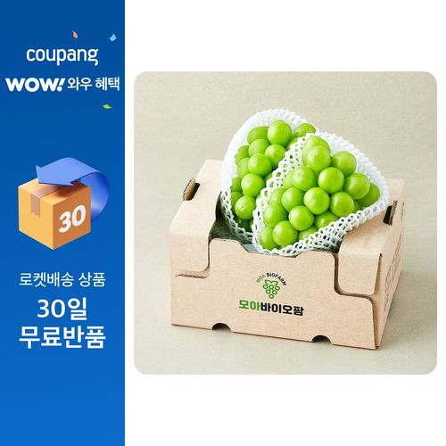 모아바이오팜 당도선별 샤인머스캣, 1개, 1kg