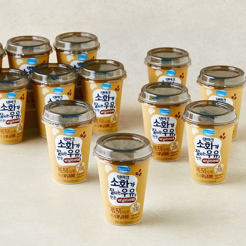 덴마크 소화가 잘되는 우유로 만든 락토프리 바닐라라떼, 250ml, 12개