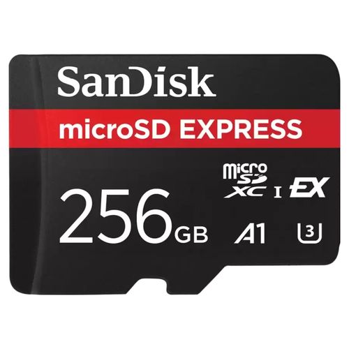 샌디스크 microSD 익스프레스, 1개, 256GB