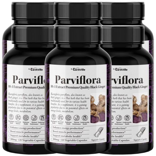 어스빌 파비플로라 10배농축 흑생강 추출물 500mg, 6개, 120정