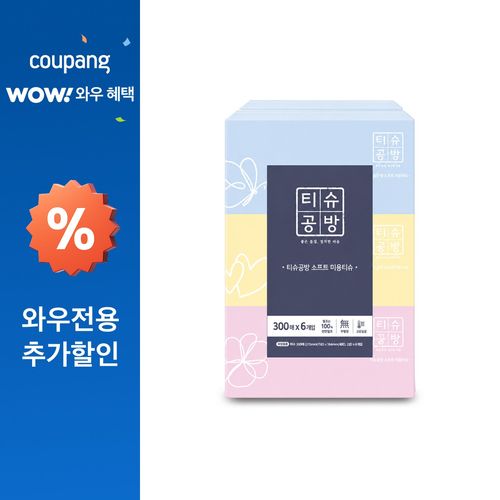 티슈공방 소프트 미용티슈, 6개, 300매