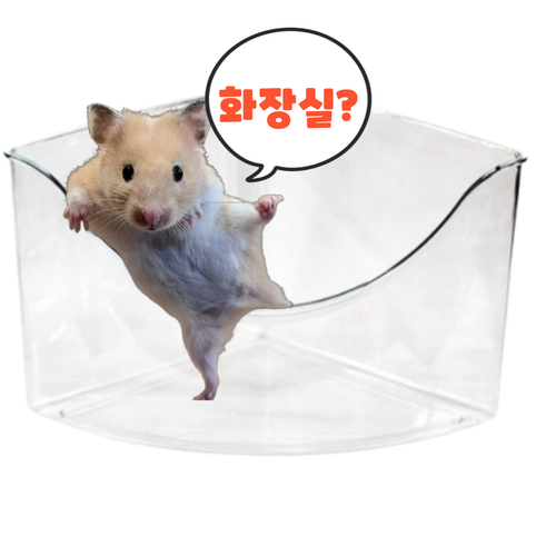 빅카르노 코너 삼각 햄스터 화장실 M