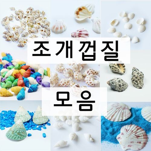 조개껍질 소라껍질 모음 젤캔들 만들기 재료, 1개