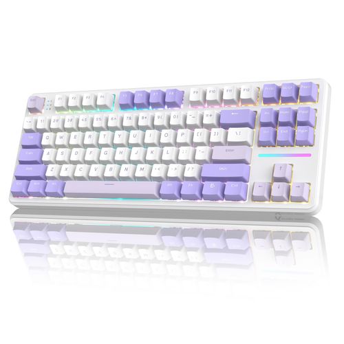 ATTACK X87 RGB 3 SHARK×MAMBASNAKE 게이밍 키보드 블루베리 스위치 개스킷 마운트