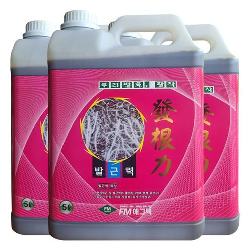 발근력 5L 대용량 뿌리 발근제 식물영양제 뿌리활착 아미노산 효모, 5L, 3개