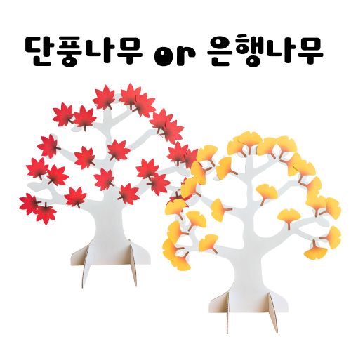 단풍나무 or 은행나무, 1개, 은행나무